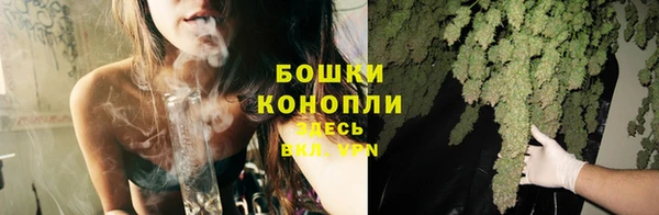 PSILOCYBIN Новокубанск