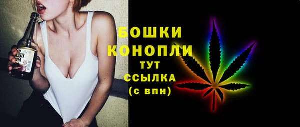 PSILOCYBIN Новокубанск