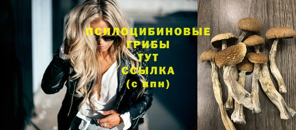 первитин Нягань