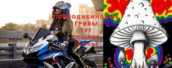гидропоника Нязепетровск