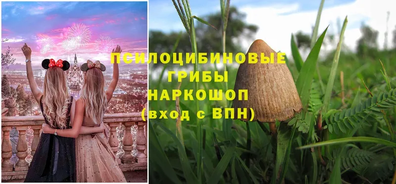 Галлюциногенные грибы MAGIC MUSHROOMS  Саров 