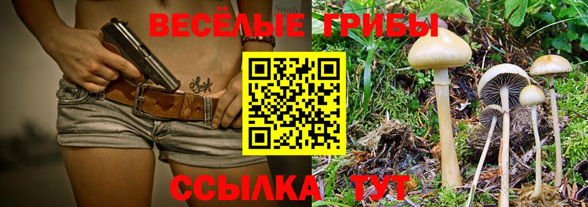 Саров  хочу   Вход с VPN  Галлюциногенные грибы Psilocybe 